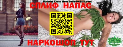 кокс Бузулук