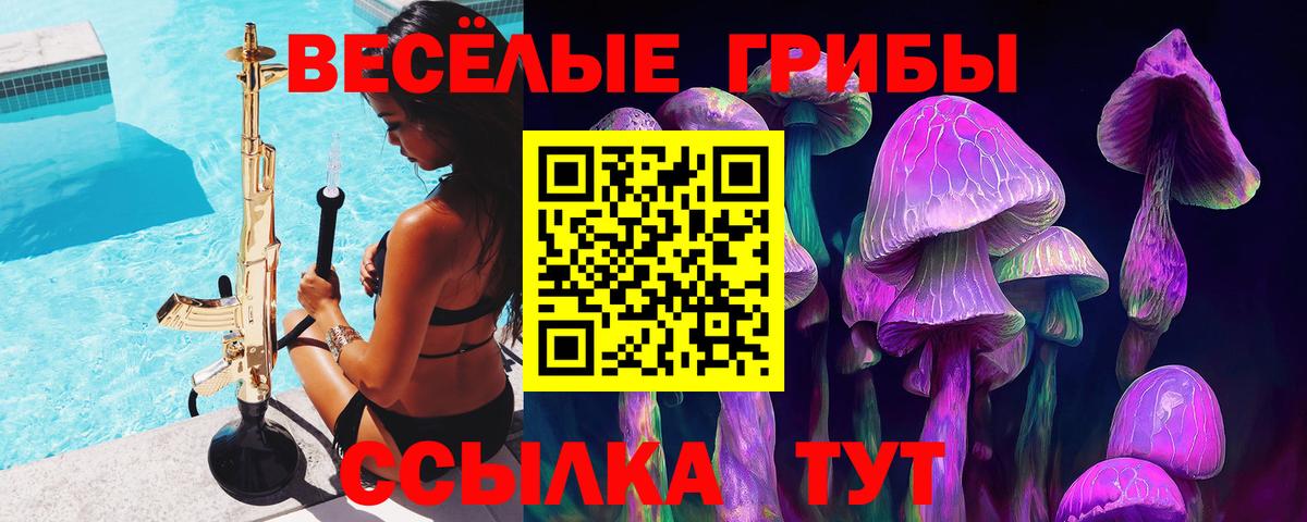 Муром  купить   Вход с VPN  Галлюциногенные грибы Magic Shrooms 