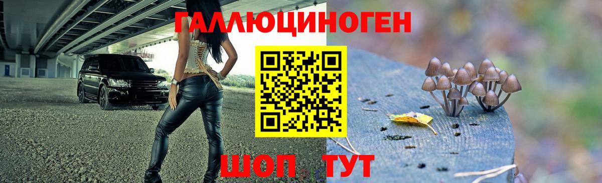Псилоцибиновые грибы GOLDEN TEACHER Муром